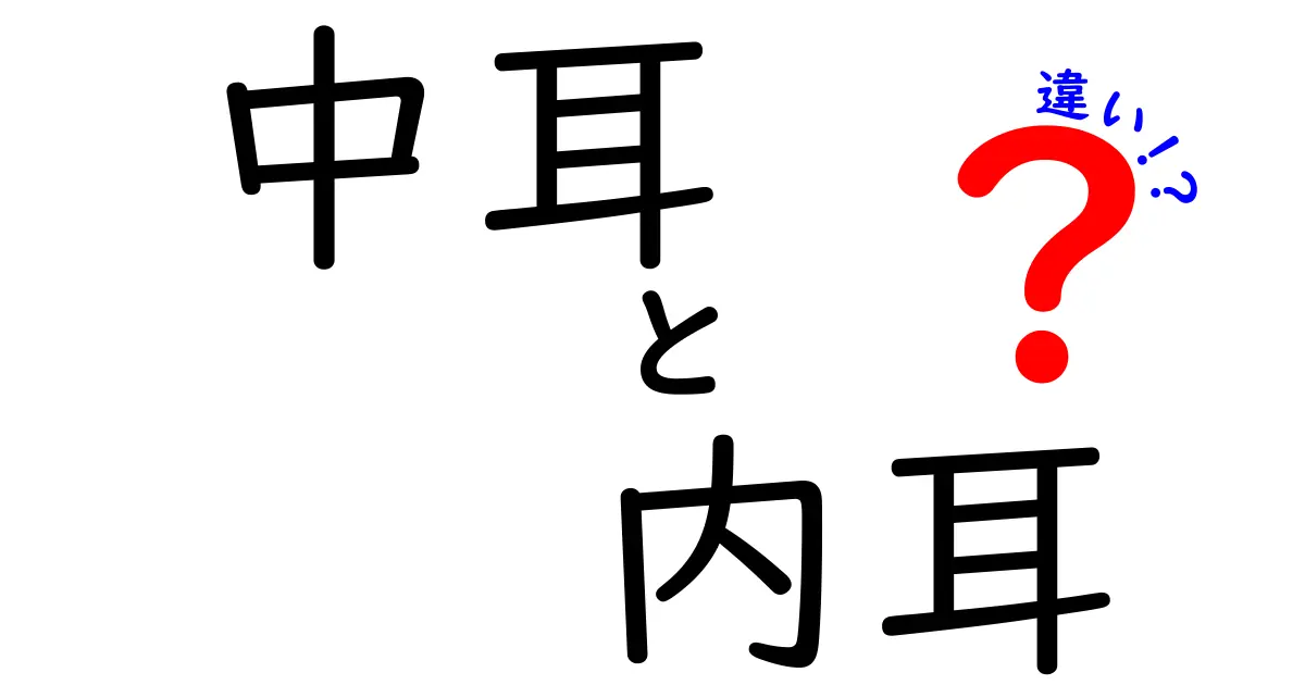 中耳と内耳の違いをやさしく解説!中学生にもわかる耳の仕組みと役割