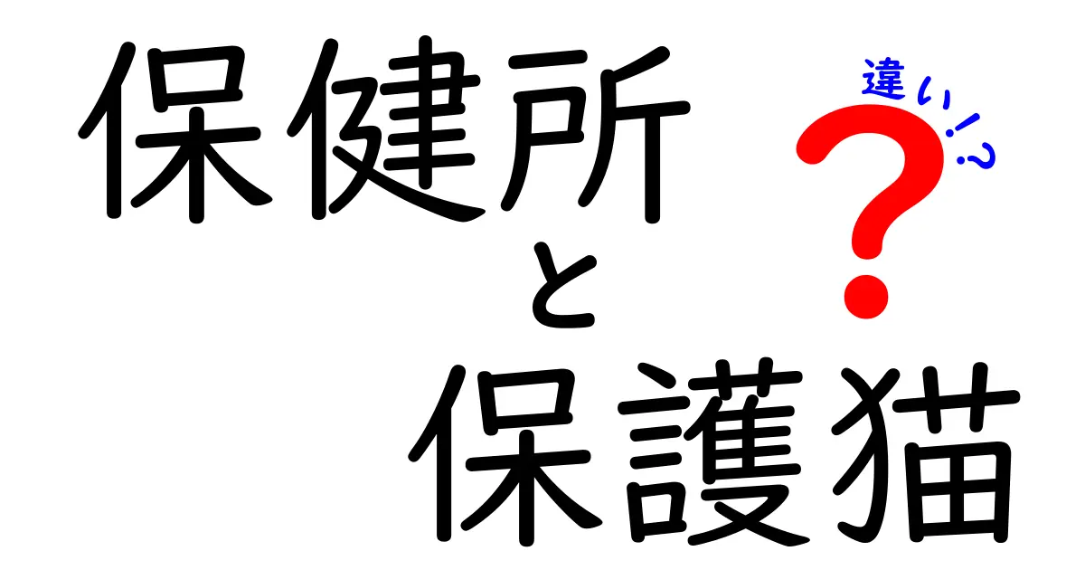 保健所と保護猫の違いとは?迎える前に知っておきたいポイントを徹底解説