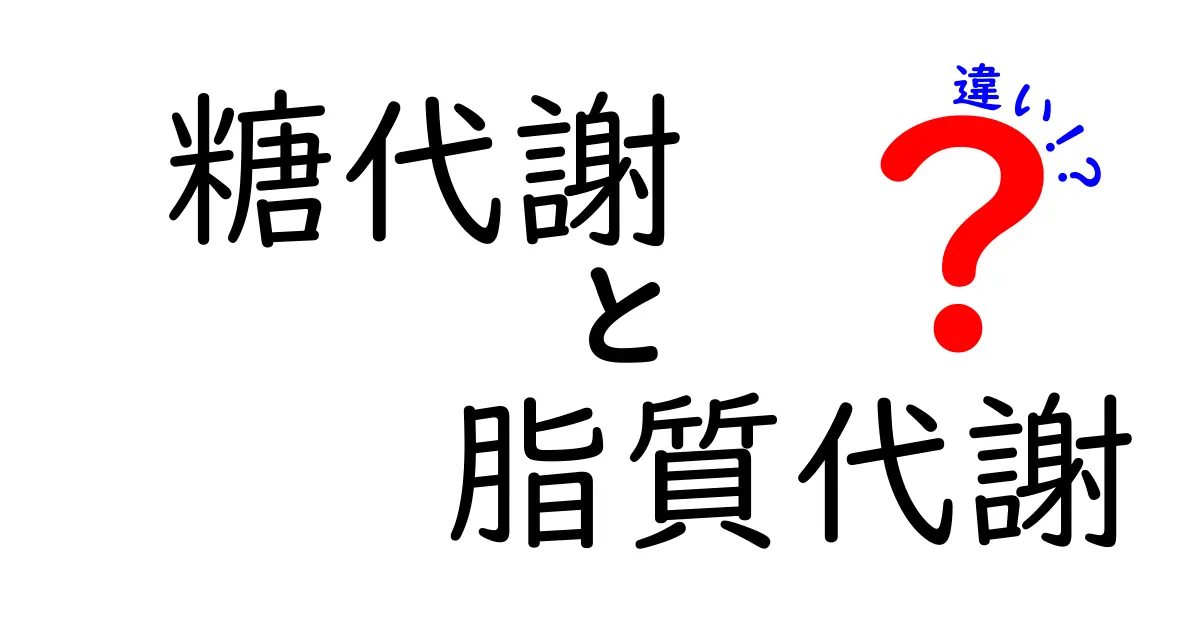 糖代謝と脂質代謝の違いを徹底解説:体はどうエネルギーを使い分けるのか