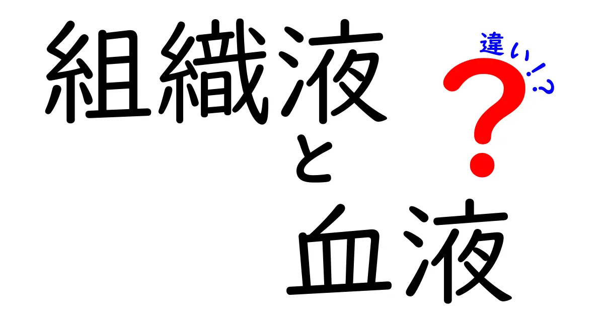組織液と血液の違いを完全理解!中学生にもわかる超やさしい解説