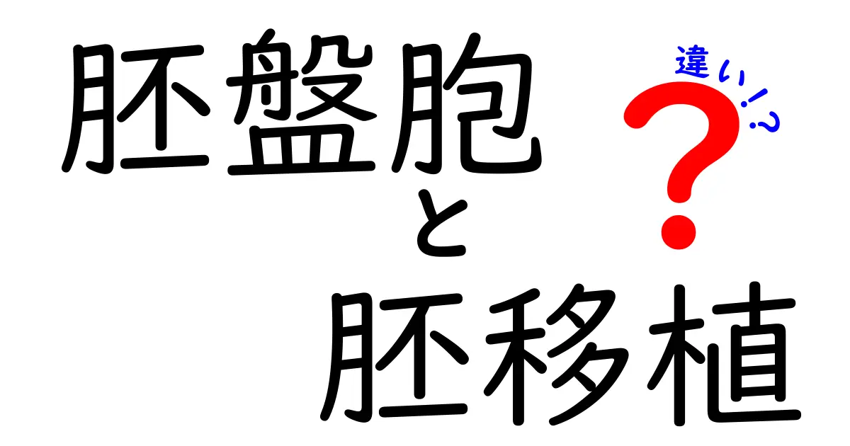 胚盤胞と胚移植の違いを徹底解説!初心者でも理解できるポイント