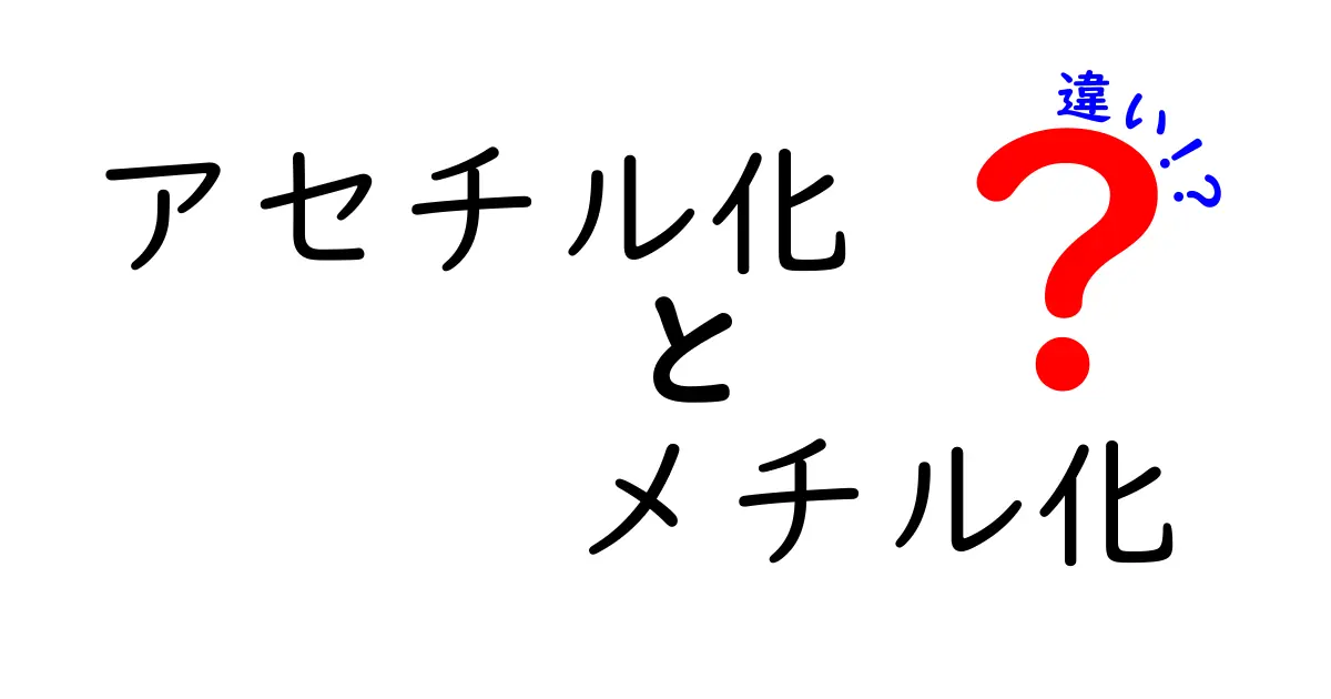 アセチル化とメチル化の違いを徹底解説! DNAとタンパク質が変わる仕組み