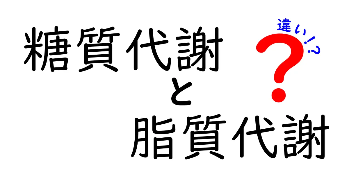 糖質代謝と脂質代謝の違いを徹底解説!中学生にも伝わるわかりやすいポイント整理