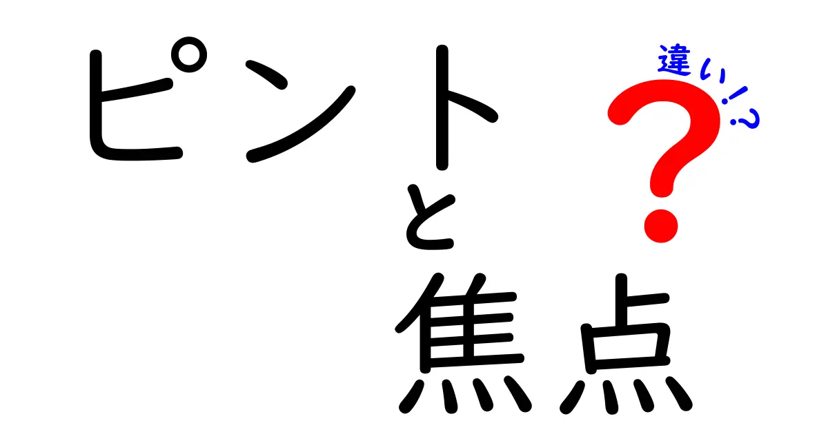ピントと焦点の違いを徹底解説！写真の“ピント”と“焦点”を中学生にもわかる言葉で