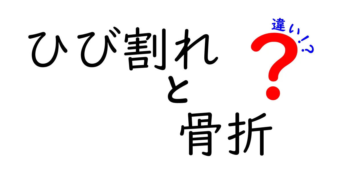 ひび割れと骨折の違いとは?見分け方や治療法をわかりやすく解説!