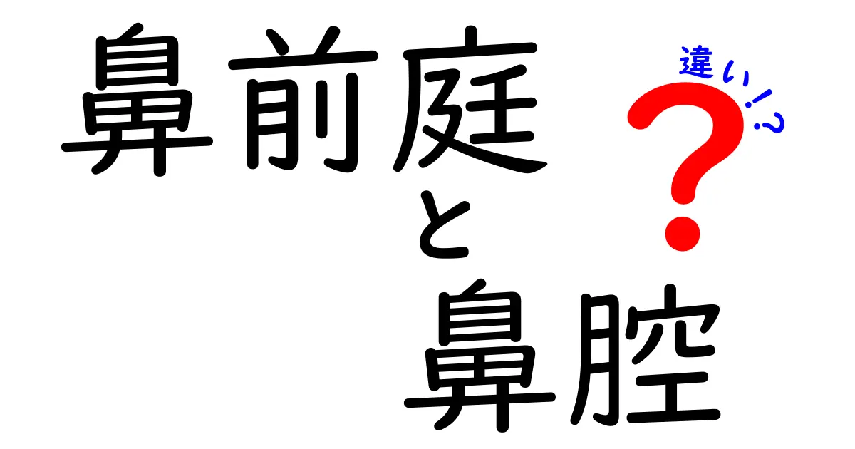 鼻前庭と鼻腔の違いを徹底解説!場所・役割・日常での見分け方をわかりやすく