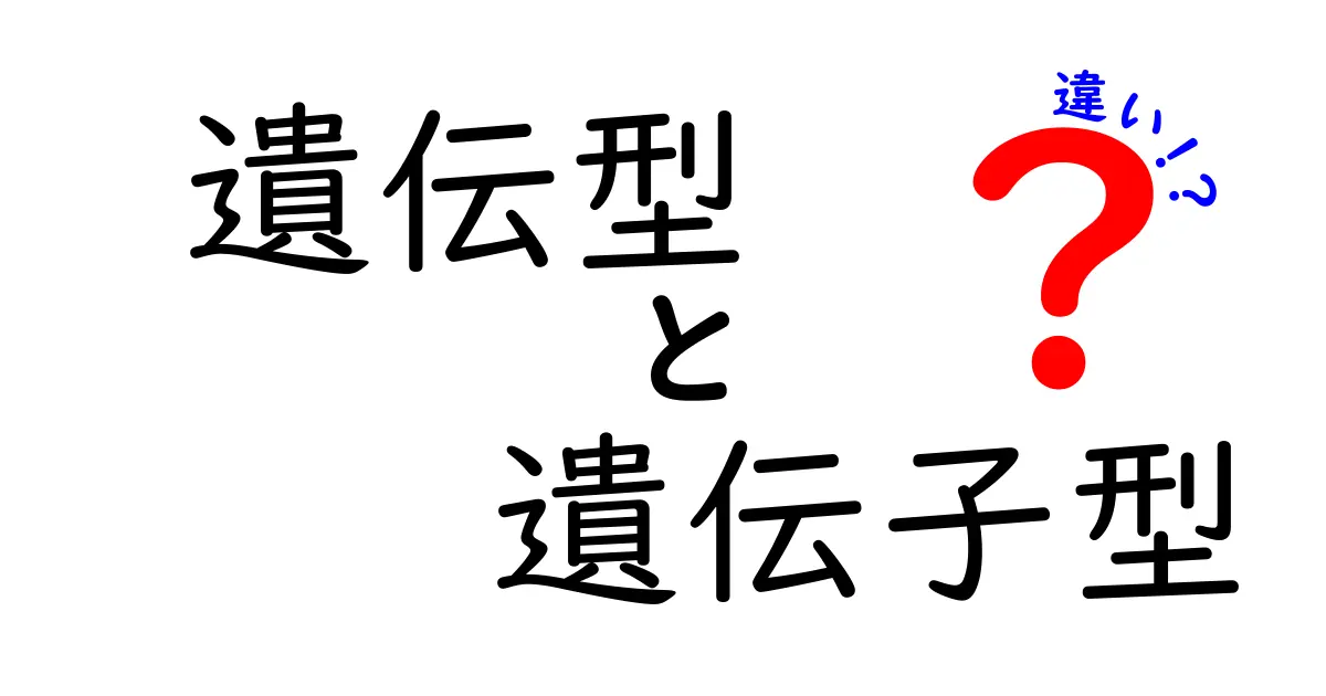 遺伝型と遺伝子型の違いを徹底解説!中学生にも分かるポイントと表で比較