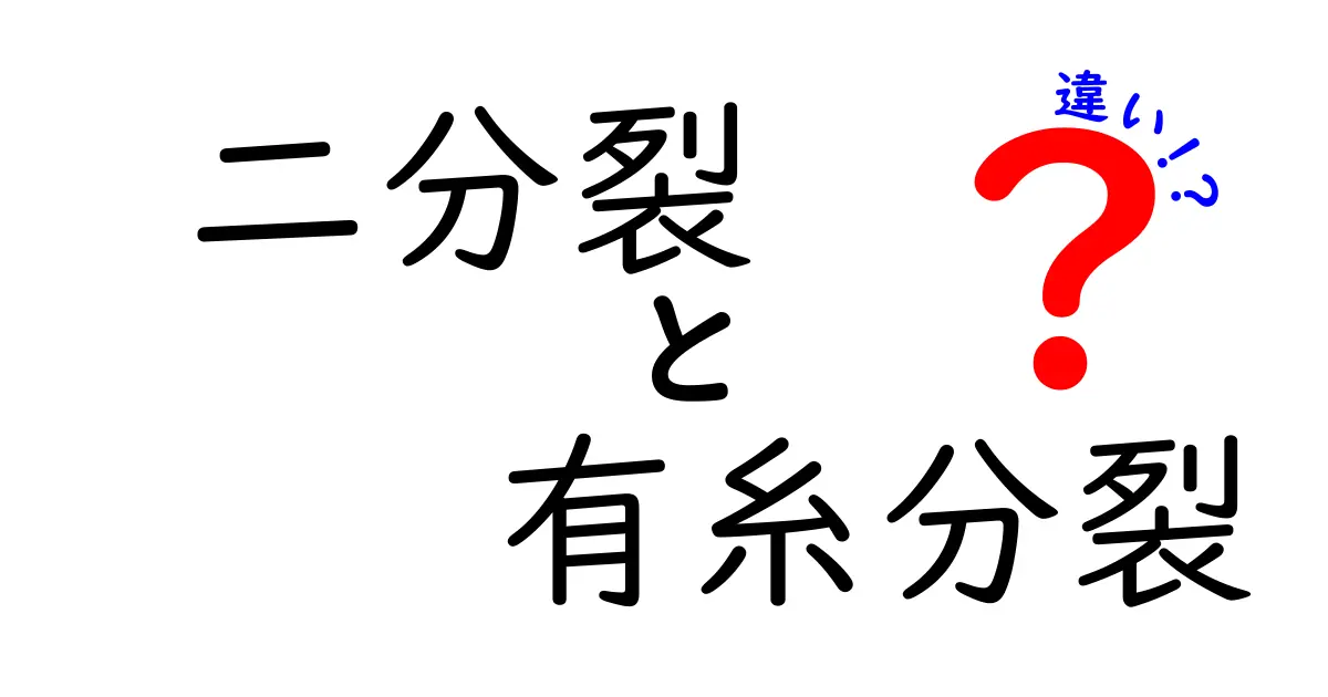 二分裂と有糸分裂の違いを一発で理解!細胞の世界で起きている本当の分裂とは?