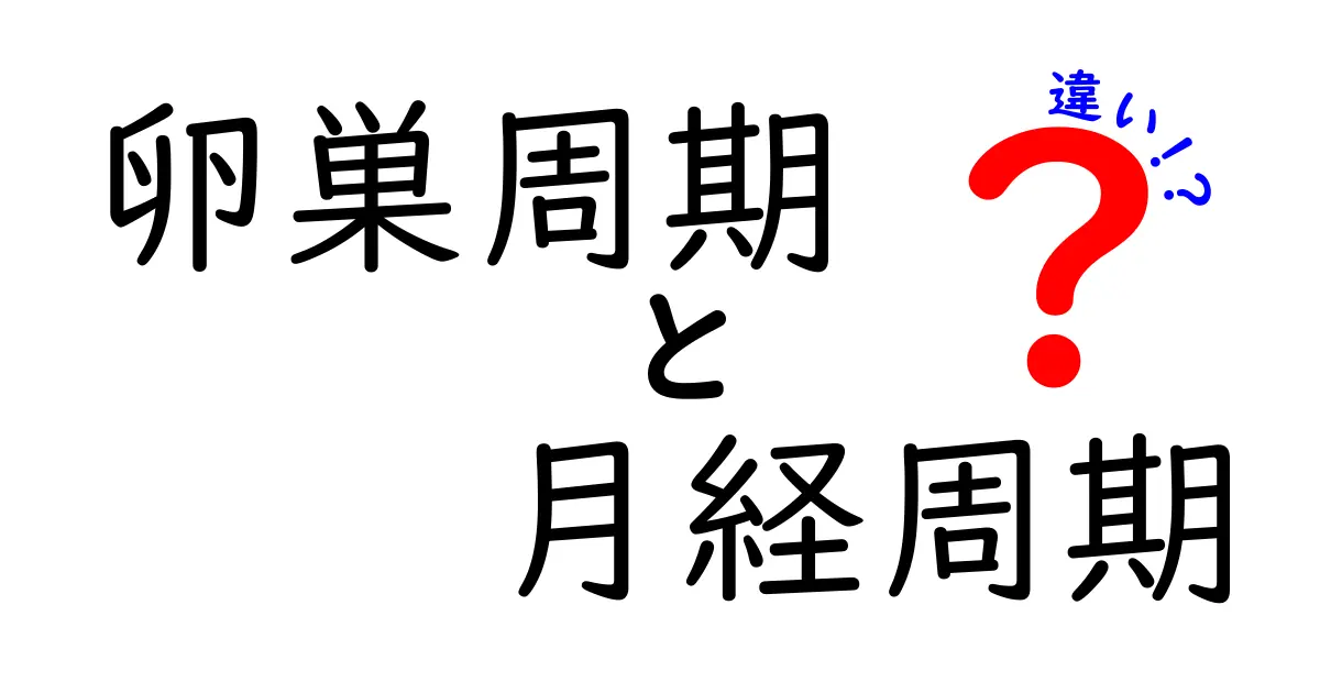 卵巣周期と月経周期の違いを徹底解説|正しく理解して健康管理に活かすポイント
