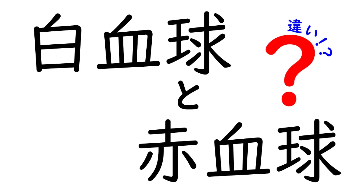 白血球と赤血球の違いを1分で理解!身体の中のヒーローを徹底解説
