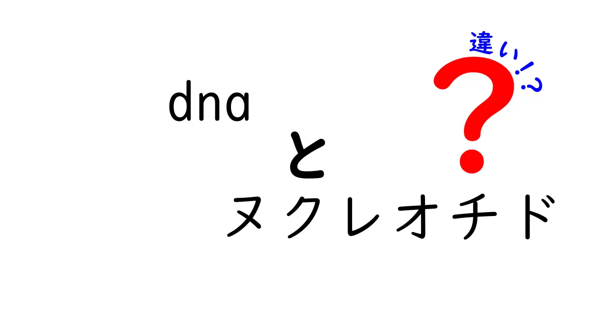DNAとヌクレオチドの違いとは?中学生にも分かる超入門ガイド