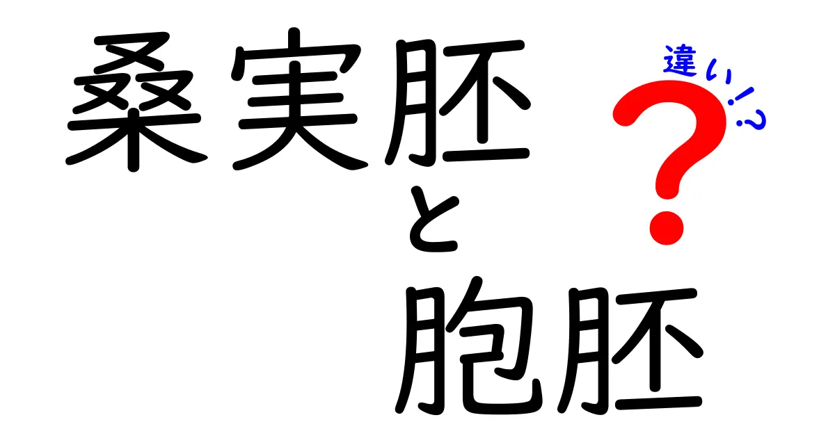 桑実胚と胞胚の違いを徹底解説!発生の初期段階を中学生にもわかりやすく解説