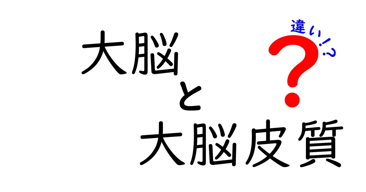 大脳と大脳皮質の違いを徹底解説!中学生にもわかる脳のしくみ入門