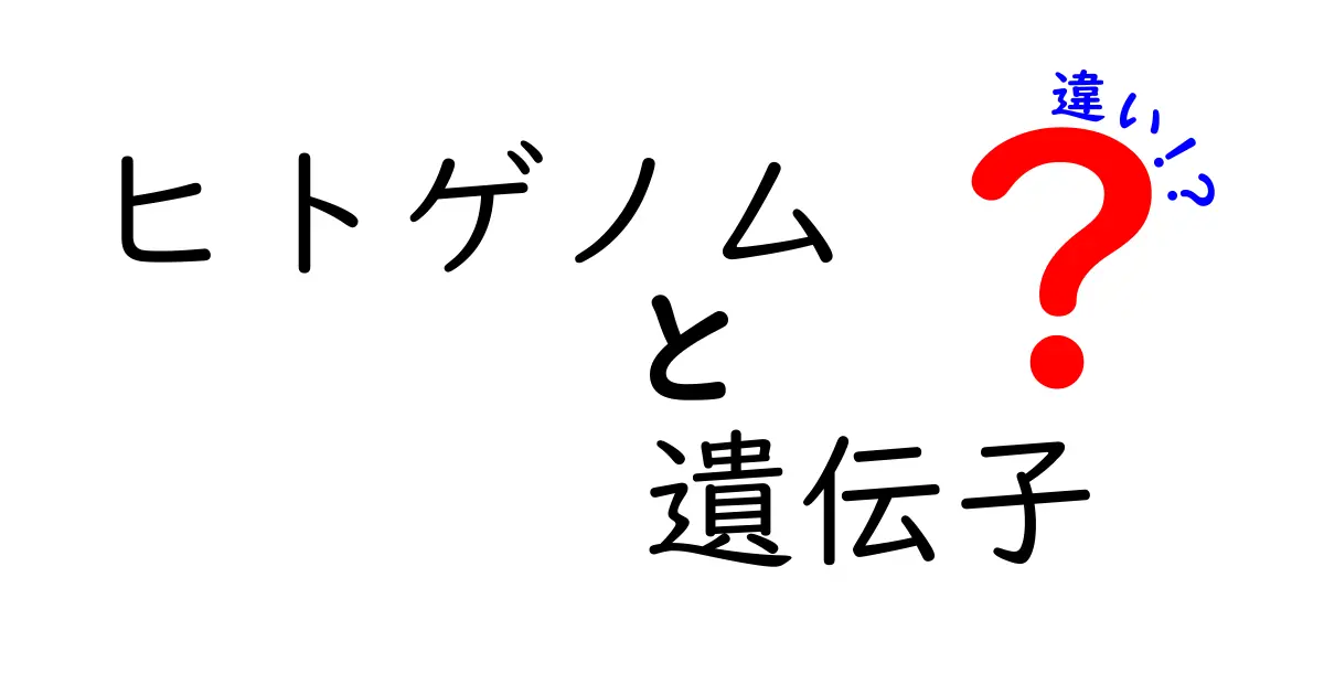 ヒトゲノムと遺伝子の違いを完全解説!中学生にも伝わる基礎と最新トピック