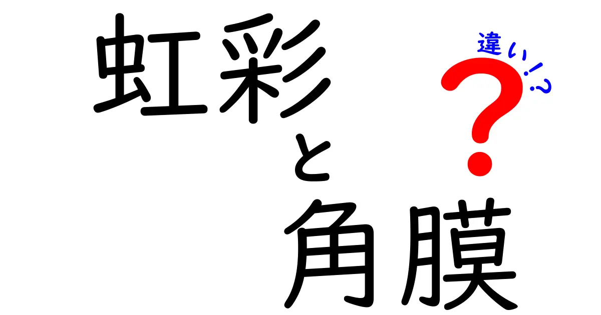 虹彩と角膜の違いとは?目のしくみをわかりやすく解説!