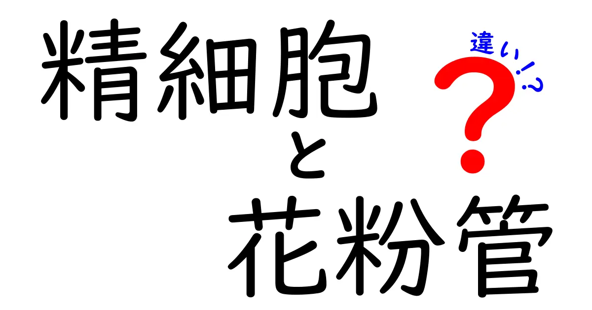 精細胞と花粉管の違いを徹底解説:生殖の仕組みをわかりやすく学ぶ入門ガイド