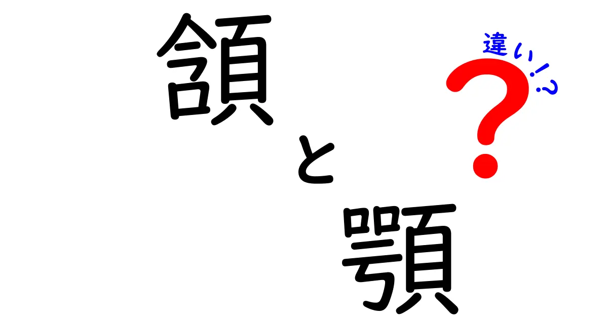 頷くと顎の違いを徹底解説:意味・使い方・見分け方を中学生にも分かる図解つき