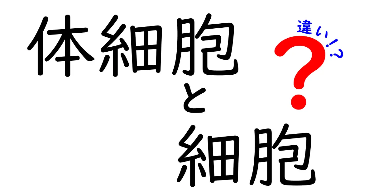 体細胞と細胞の違いって何?中学生にも分かる徹底図解と実例付きのやさしい解説