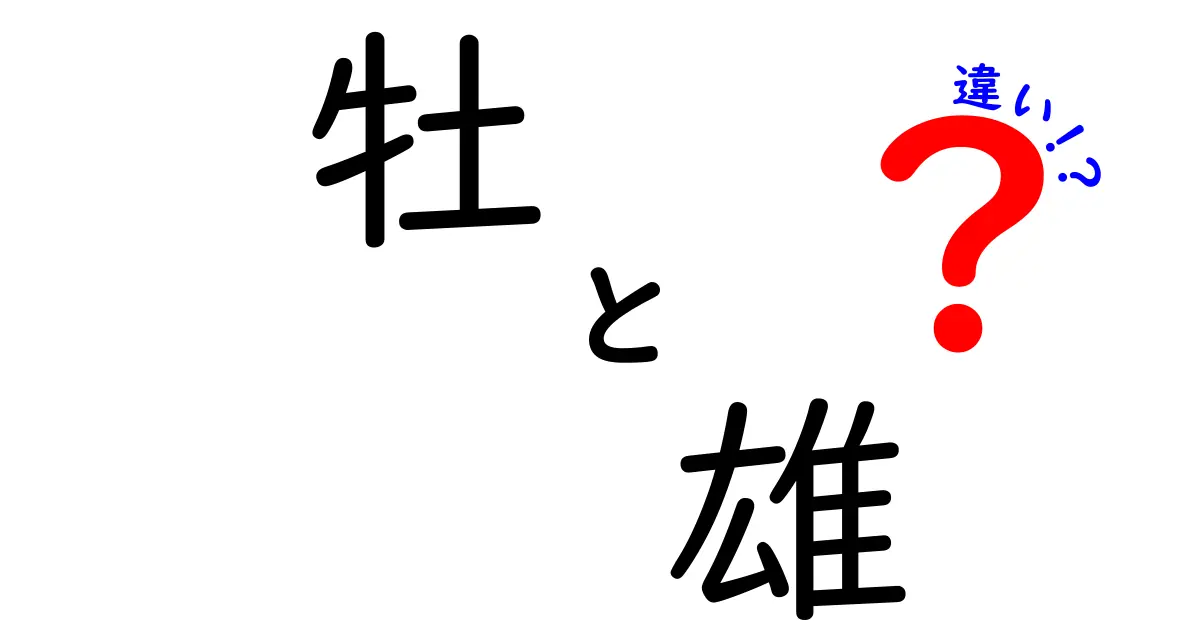 牡と雄の違いを徹底解説!意味と使い分けを中学生にもわかる図解