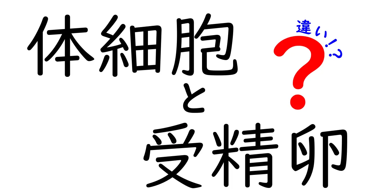 体細胞と受精卵の違いを徹底解説!成長のしくみと命のはじまりを中学生にもわかる図解
