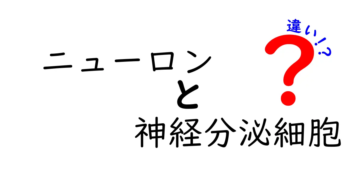 ニューロンと神経分泌細胞の違いを徹底解説!中学生にも分かる図解入りガイド
