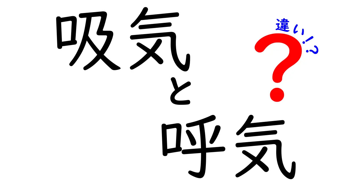 吸気と呼気の違いとは?呼吸のしくみをわかりやすく解説!