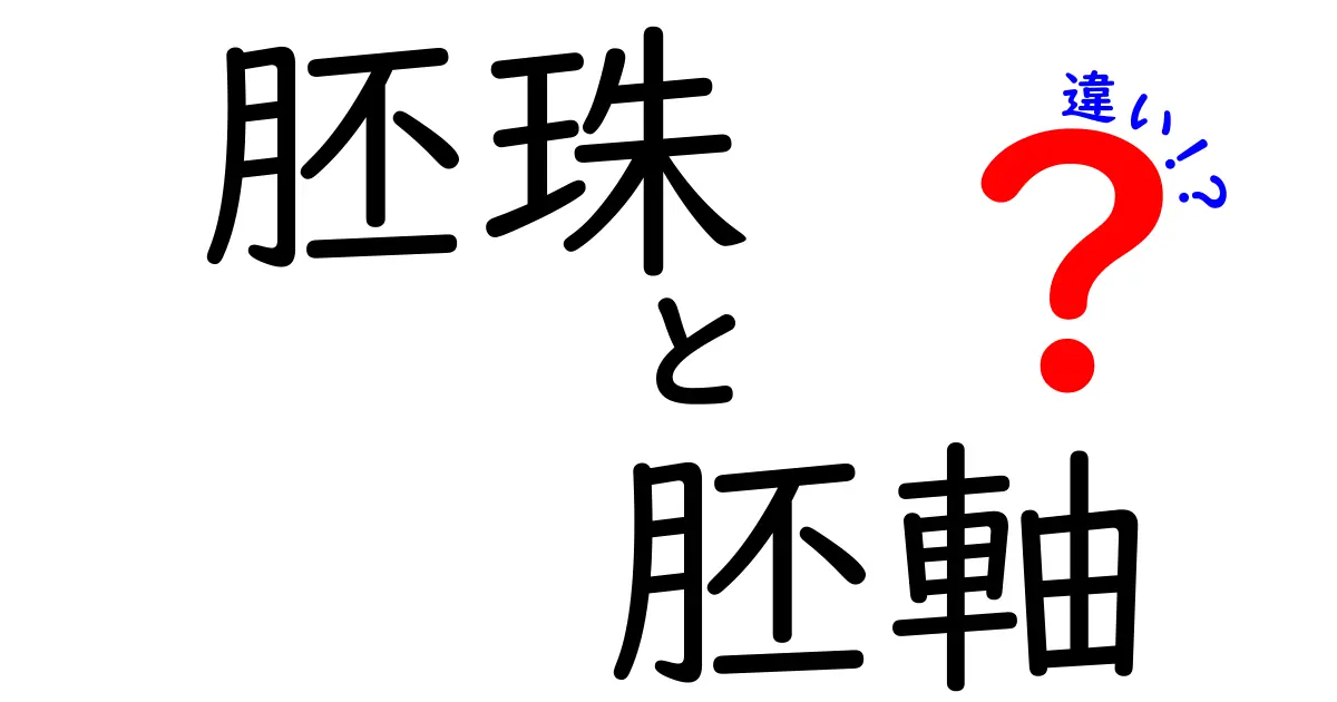 胚珠と胚軸の違いがすぐわかる図解つきガイド:中学生にもわかる基礎解説