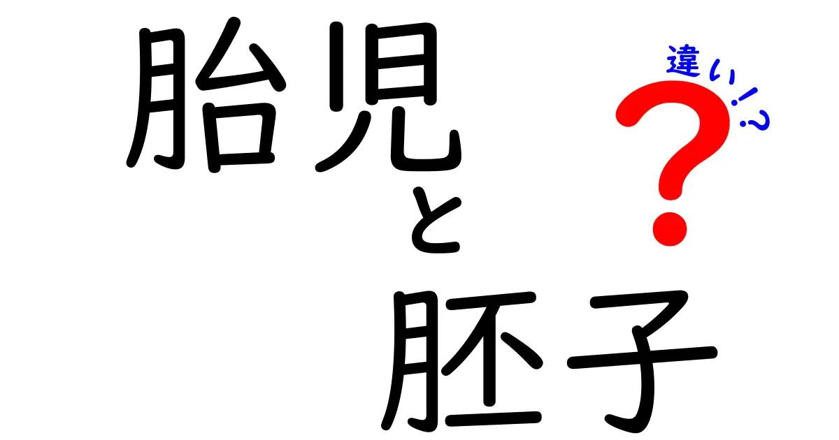 胎児と胚子の違いを徹底解説!発生段階で見る見分け方と日常の誤解を解く
