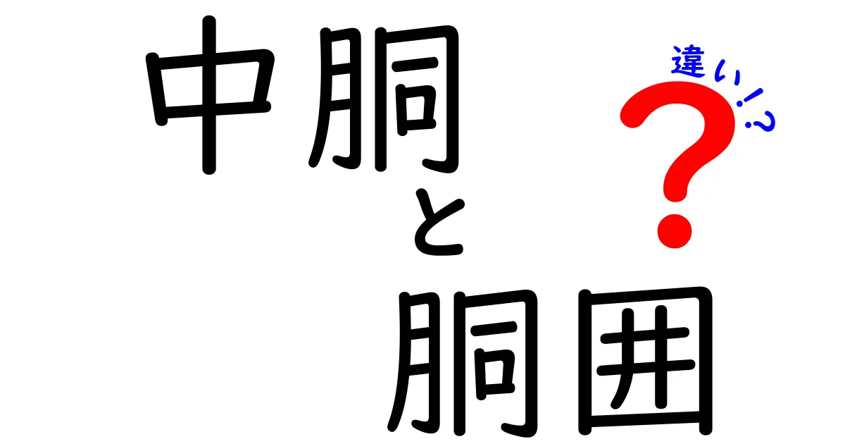 中胴と胴囲の違いを徹底解説！体サイズの謎をわかりやすく正しく使い分けよう