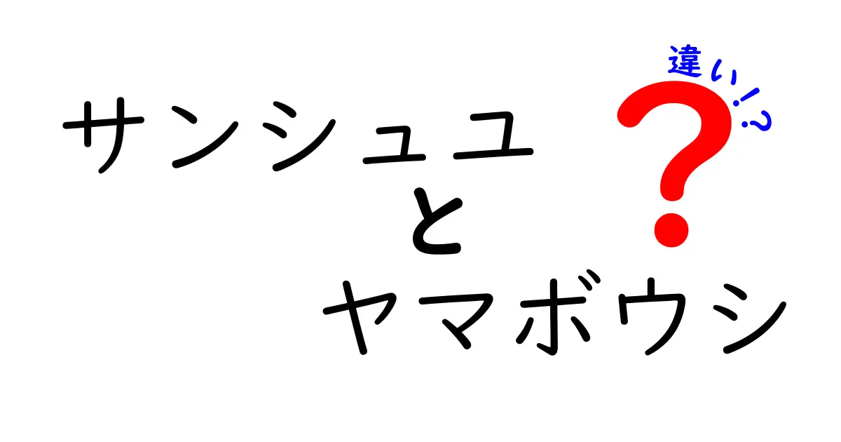 サンシュユとヤマボウシの違いを徹底解説！見分け方から特徴までわかりやすく紹介