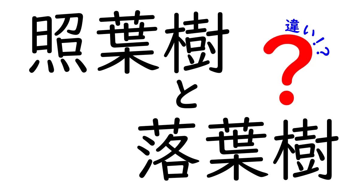 照葉樹と落葉樹の違いをわかりやすく解説！特徴や見分け方まとめ