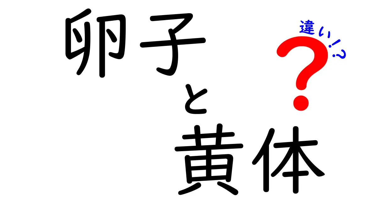 卵子と黄体の違いを完全ガイド!生殖サイクルの謎を図解付きで徹底解説