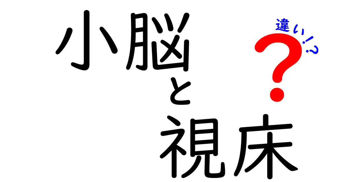 小脳と視床の違いを徹底解説!脳の動きと感覚をわかりやすく比較