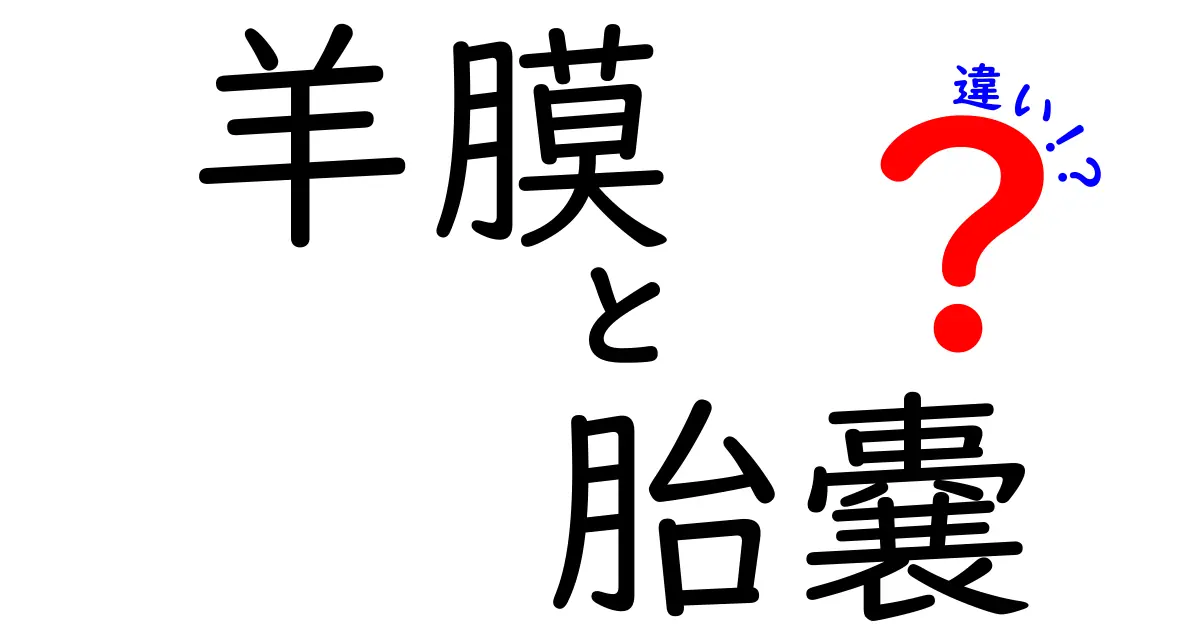 羊膜と胎嚢の違いを徹底解説!初期妊娠の基礎知識をわかりやすく