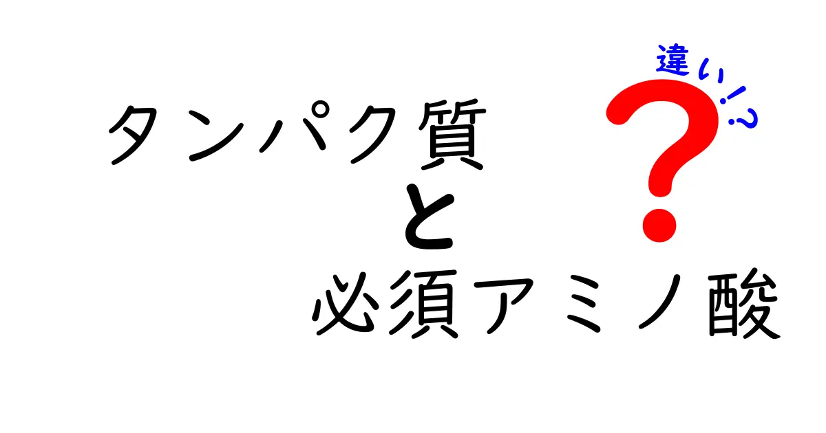 タンパク質と必須アミノ酸の違いを徹底解説!体づくりに差がつく基礎知識