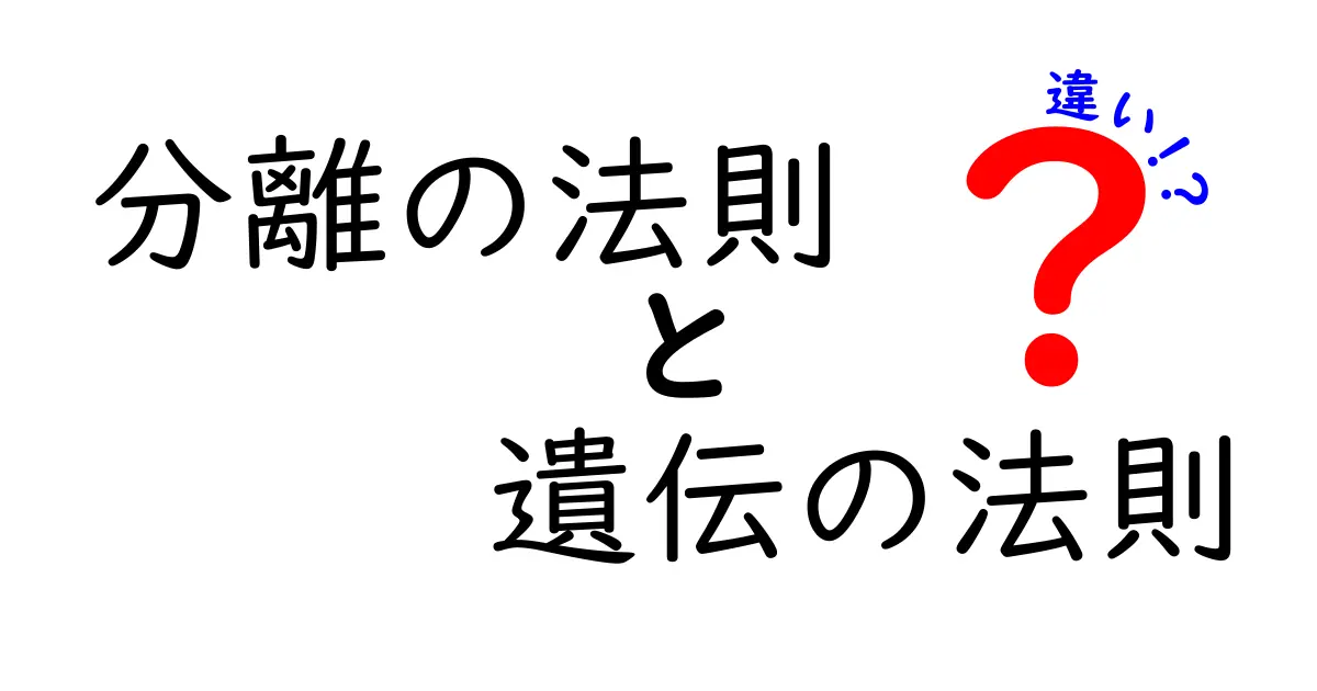 分離の法則と遺伝の法則の違いを徹底解説!中学生にも分かる遺伝のしくみ入門