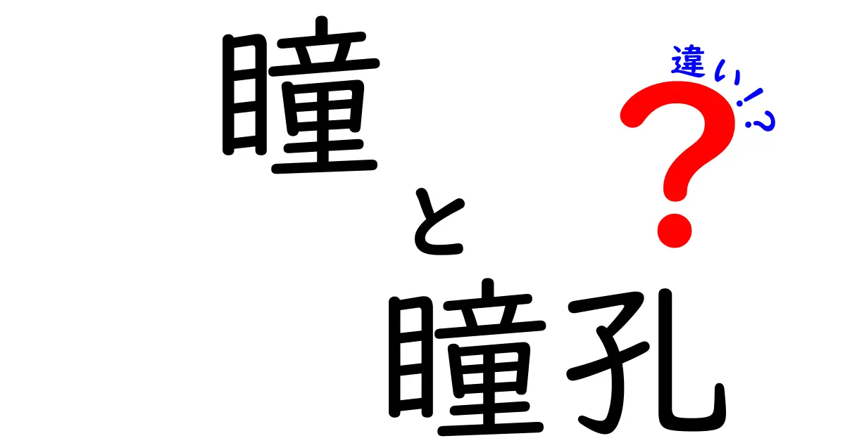 瞳と瞳孔の違いって何?見た目と仕組みをわかりやすく解説!