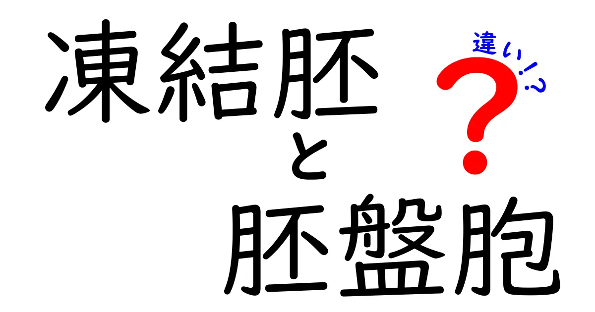 凍結胚と胚盤胞の違いを徹底解説|いつ、どちらを選ぶべきかをわかりやすく解説
