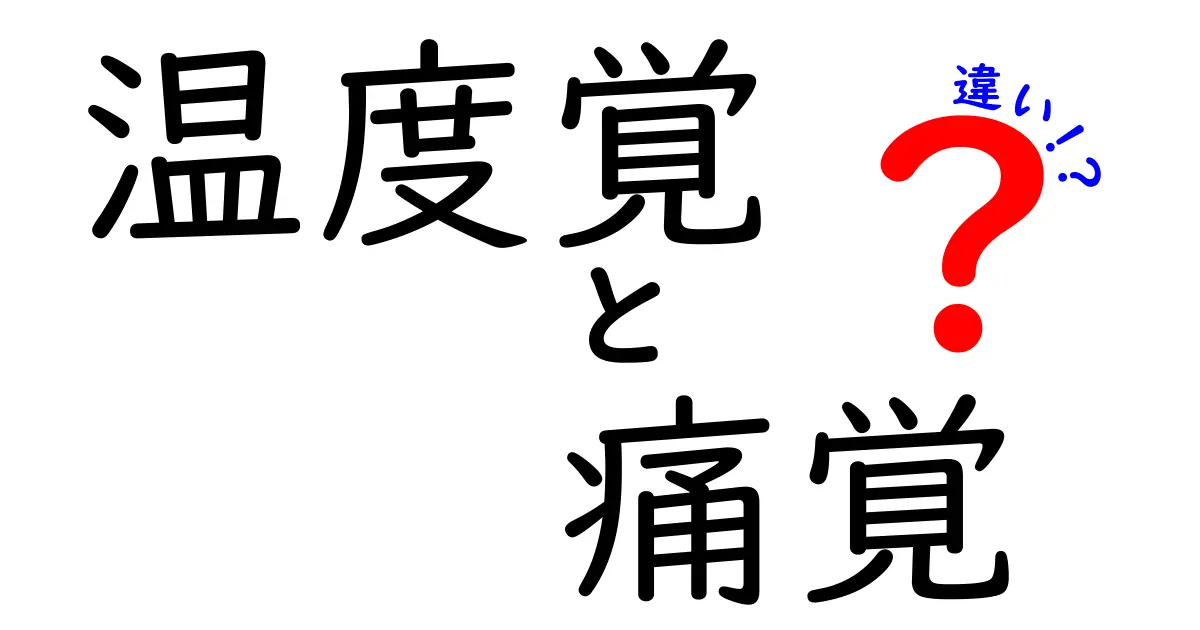温度覚と痛覚の違いを完全解説!体はどうやって温度と痛みを感じるのかを中学生にも分かるように解明