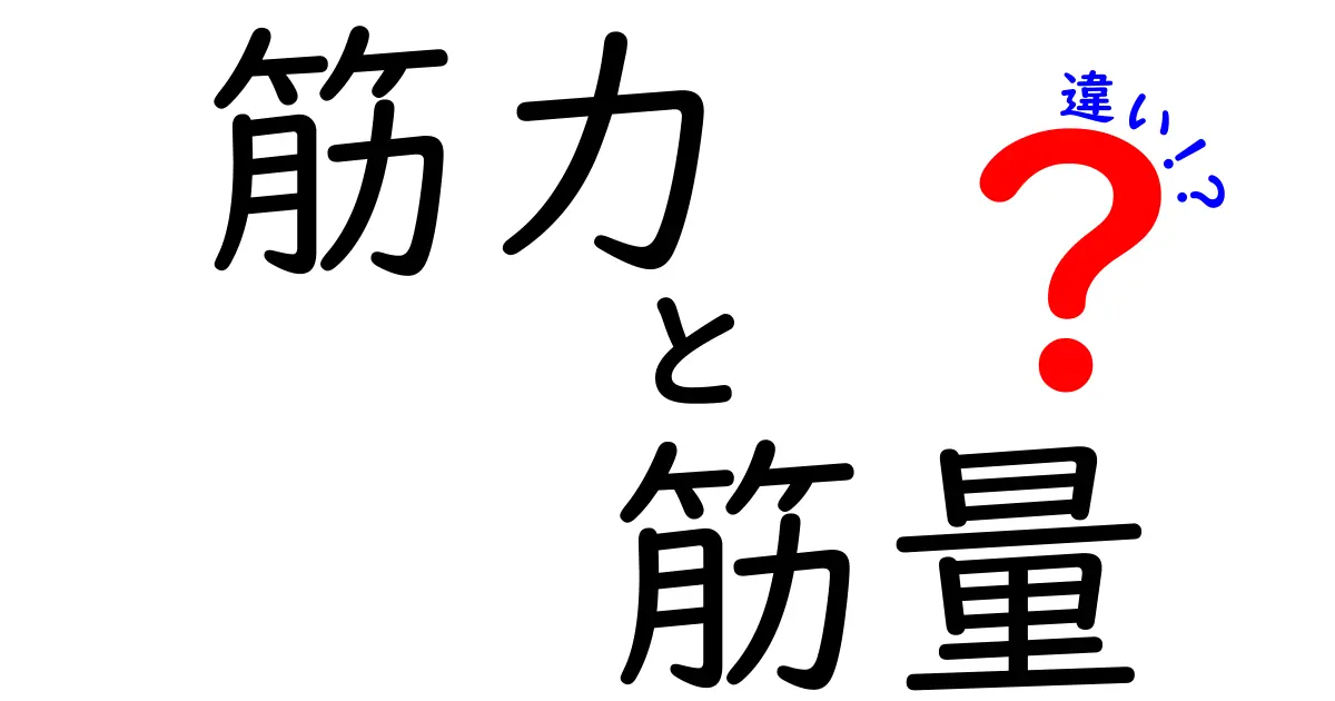 筋力と筋量の違いとは？初心者でもわかる筋肉の秘密を解説！