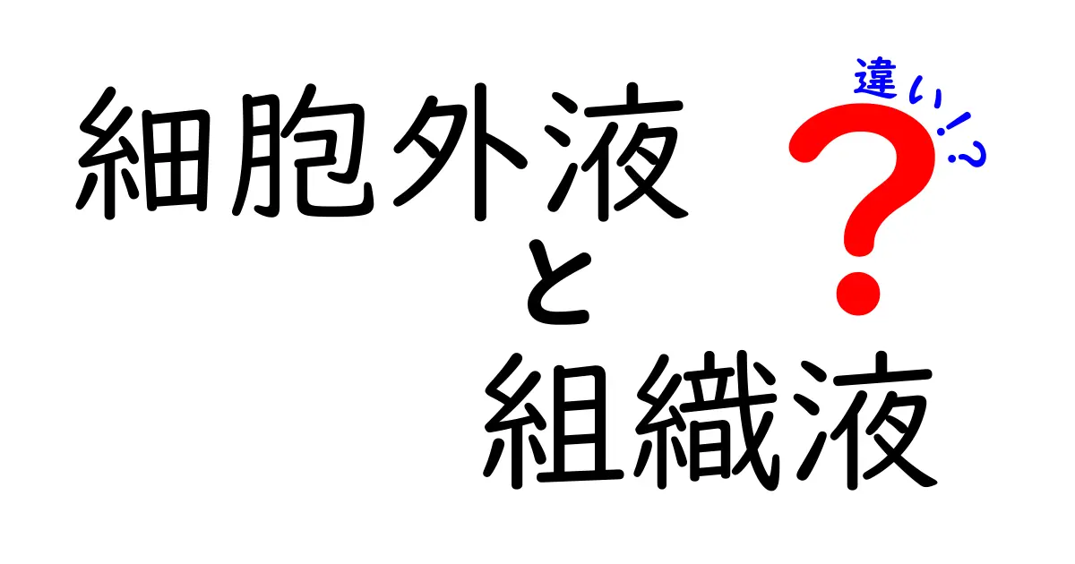 細胞外液と組織液の違いを徹底解説!中学生にも分かる表と図解付き