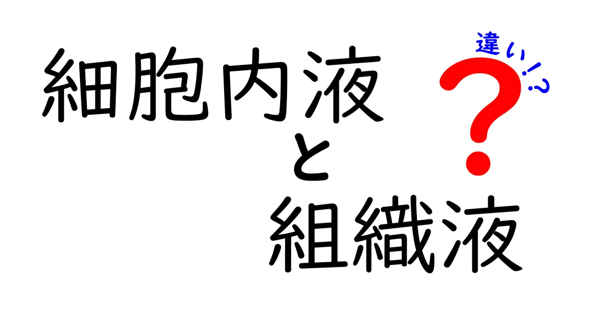 細胞内液と組織液の違いをわかりやすく解説|中学生にも伝わる体液の秘密