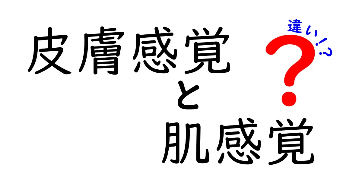 皮膚感覚と肌感覚の違いを徹底解説!日常と科学をつなぐ使い分けガイド