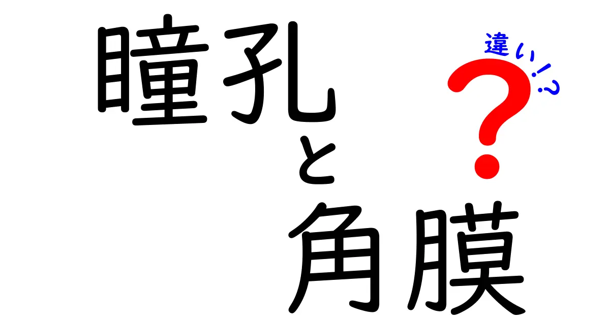 意外と知らない!瞳孔と角膜の違いをわかりやすく解説