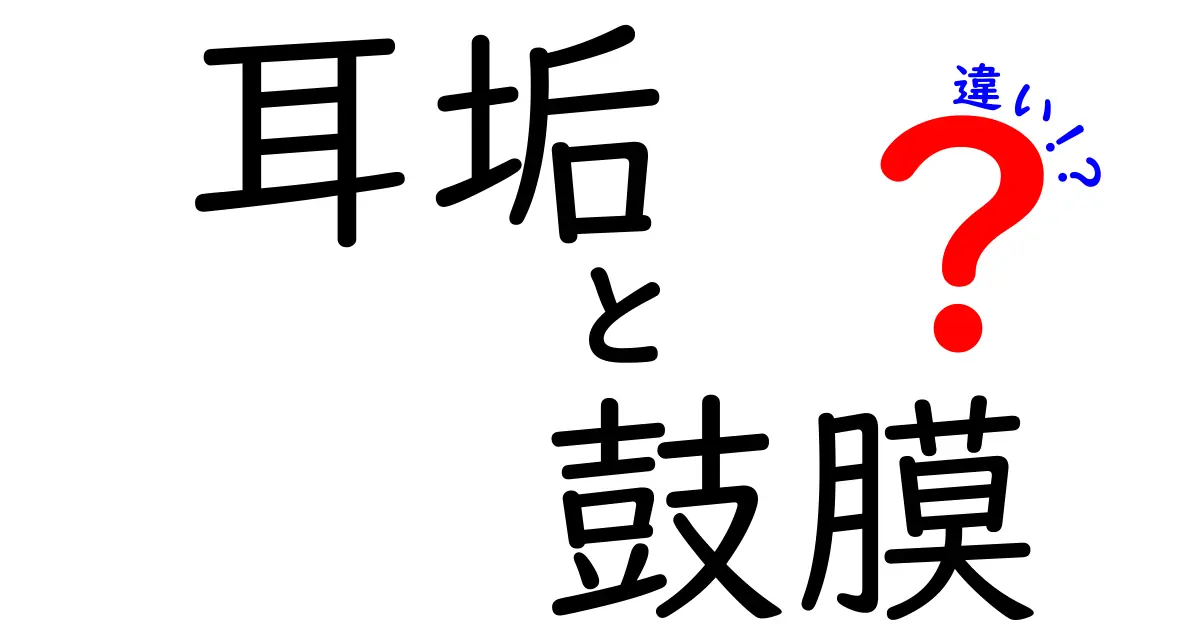 耳垢と鼓膜の違いを徹底解説!正しい耳ケアとよくある誤解を解く