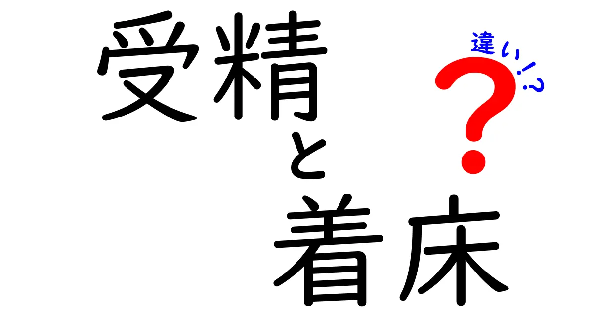 受精と着床の違いを徹底解説!2つのステップで分かる生命の始まり