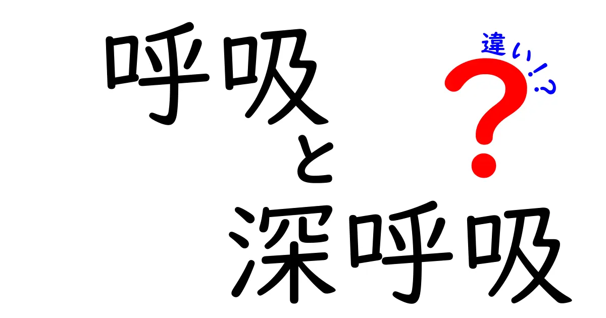 呼吸と深呼吸の違いとは？正しい呼吸法で健康アップの秘訣