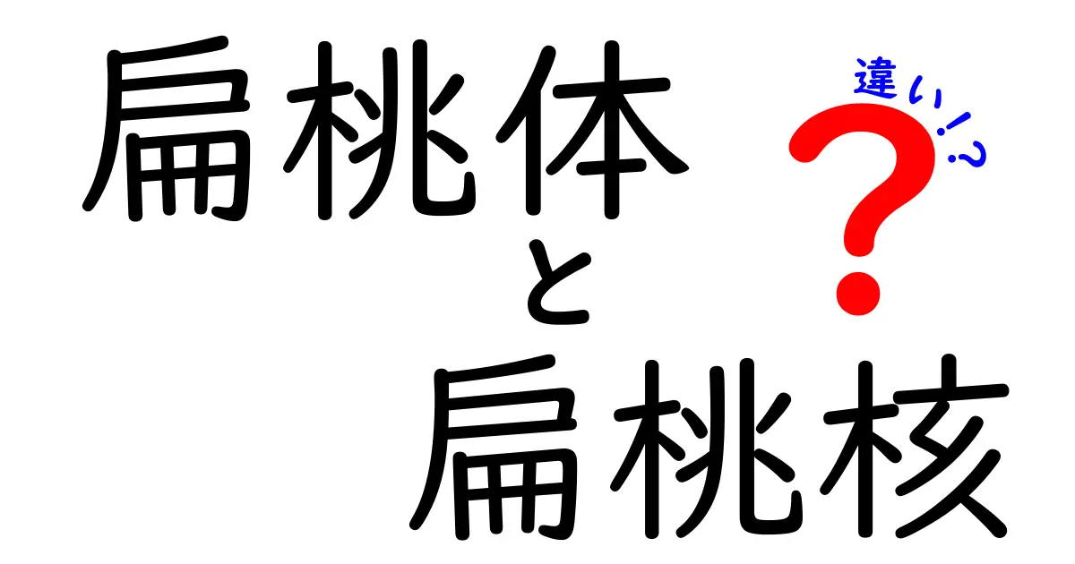 扁桃体と扁桃核の違いをわかりやすく解説!脳科学の基礎を押さえる完全ガイド