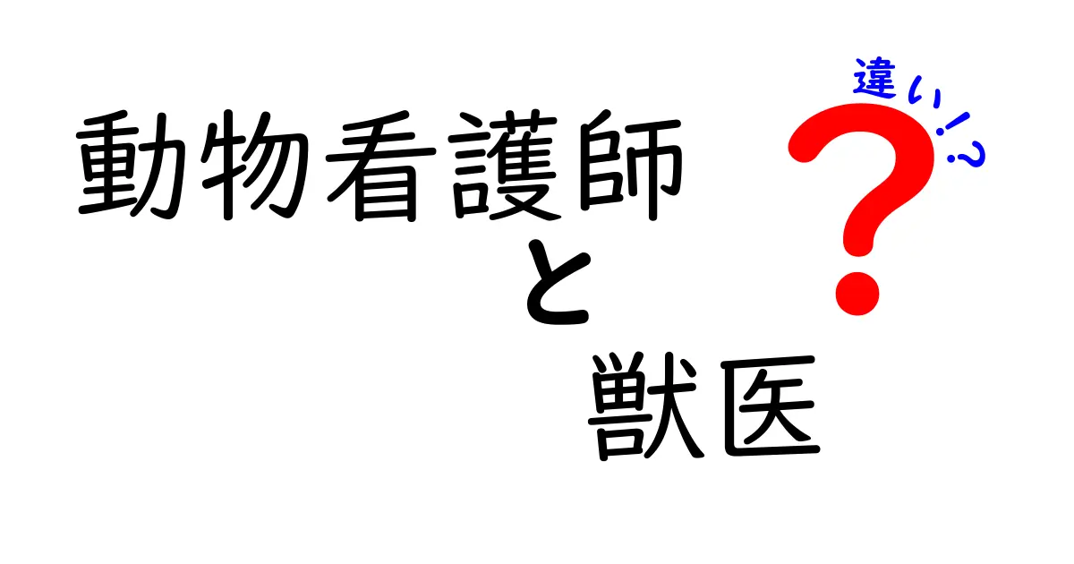 動物看護師と獣医の違いを徹底解説!役割・資格・日常業務をわかりやすく比較