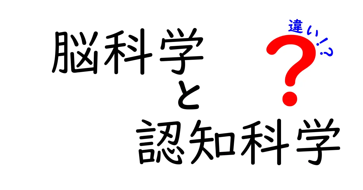 脳科学と認知科学の違いを徹底解説|脳と心の仕組みをわかりやすく比較